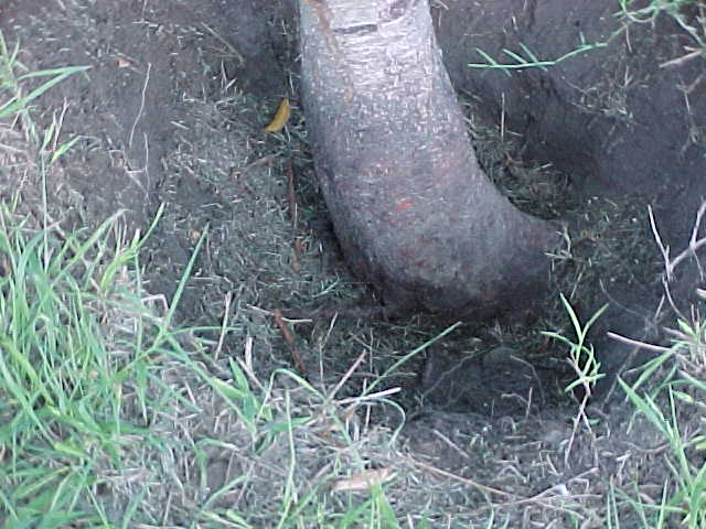 content_img.1507.img.jpg
