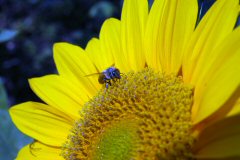 content_img.1522.img.jpg