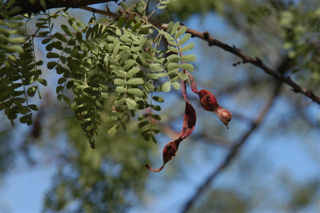 content_img.1530.img.jpg