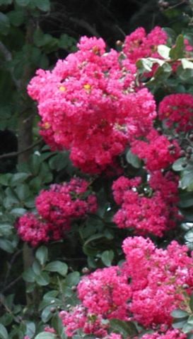 content_img.1562.img.jpg