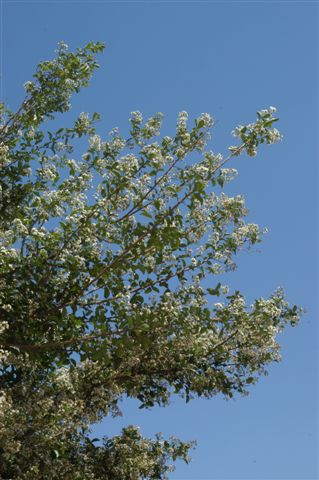 content_img.1563.img.jpg