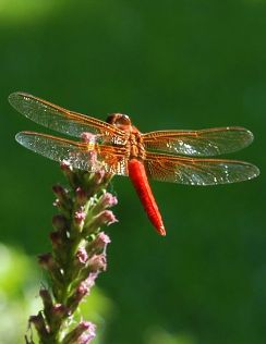 content_img.1605.img.jpg