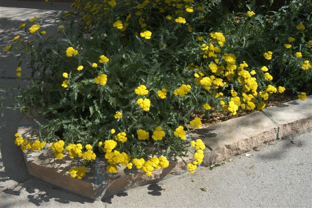 content_img.1606.img.jpg