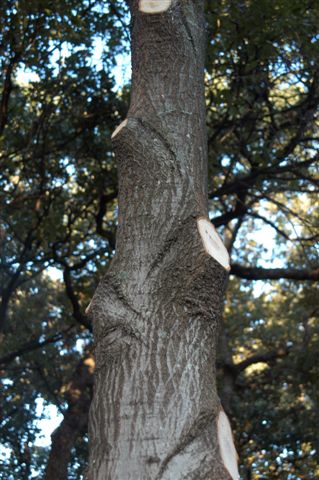 content_img.1611.img.jpg