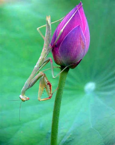 content_img.1685.img.jpg