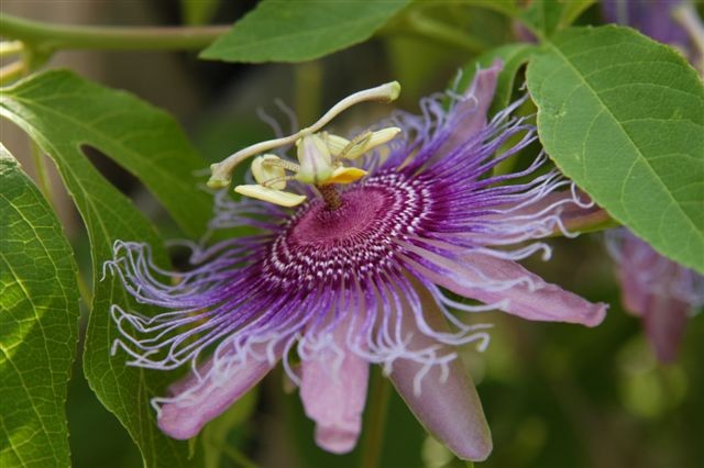 content_img.1708.img.jpg