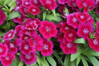 content_img.1792.img.jpg