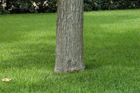 content_img.1827.img.jpg