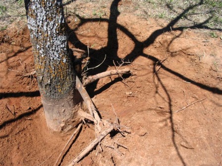 content_img.1835.img.jpg
