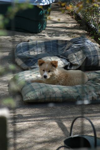 content_img.1848.img.jpg