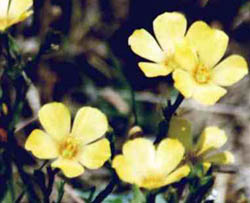 content_img.188.img.jpg