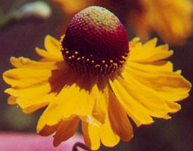 content_img.189.img.jpg