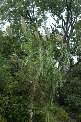 content_img.2015.img.jpg