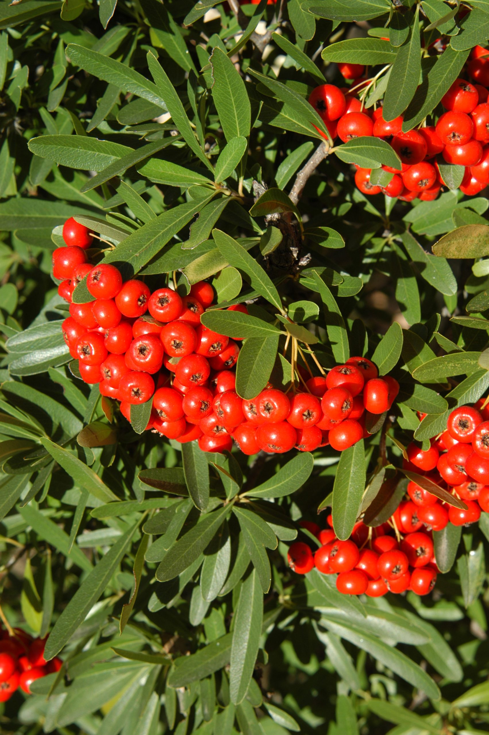 content_img.2024.img.jpg