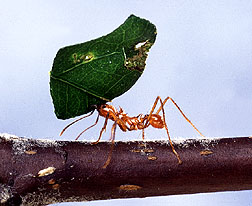 content_img.2037.img.jpg