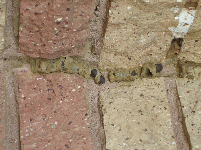 content_img.2041.img.bmp