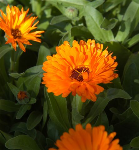 content_img.2047.img.jpg