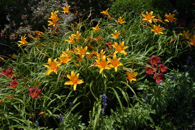 content_img.2058.img.jpg