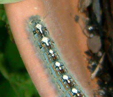 content_img.2073.img.jpg