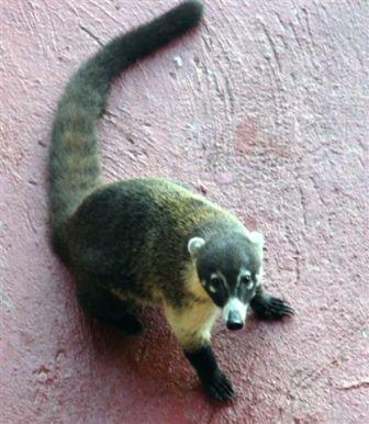 content_img.2117.img.jpg