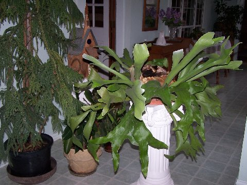 content_img.2174.img.bmp