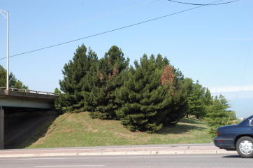 content_img.219.img.jpg