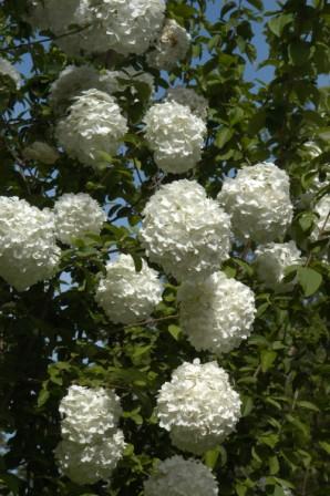 content_img.2199.img.jpg