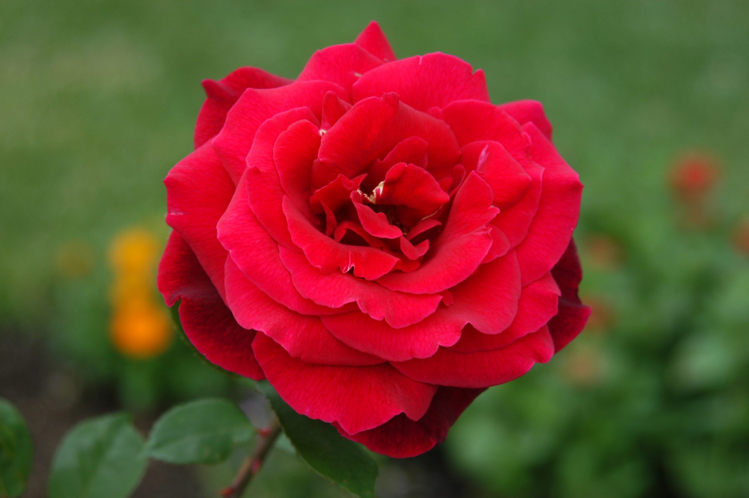 content_img.2212.img.jpg
