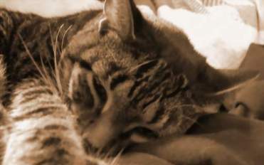 content_img.2239.img.jpg