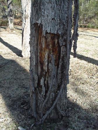 content_img.2244.img.jpg