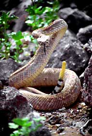 content_img.2257.img.bmp