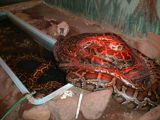content_img.2406.img.jpg