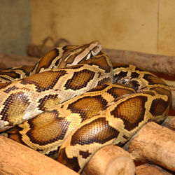 content_img.2407.img.jpg