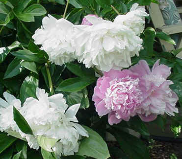 content_img.2427.img.jpg