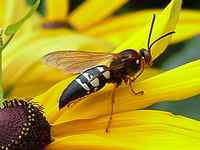 content_img.2459.img.jpg