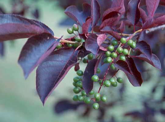 content_img.2606.img.jpg