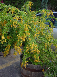 content_img.2650.img.jpg
