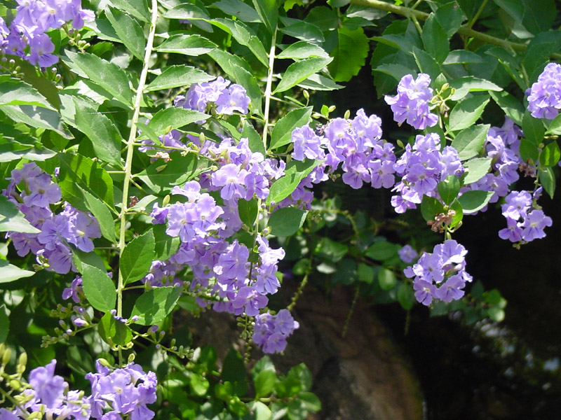 content_img.2651.img.jpg