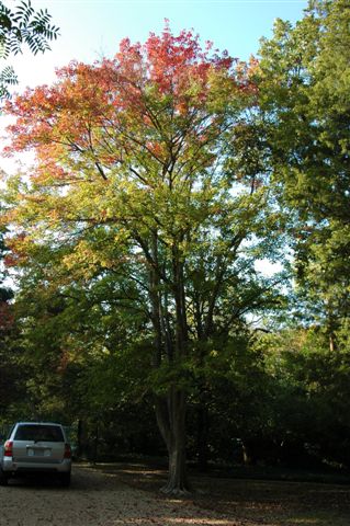 content_img.2765.img.jpg