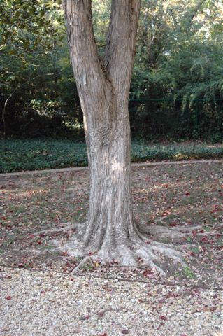 content_img.2767.img.jpg