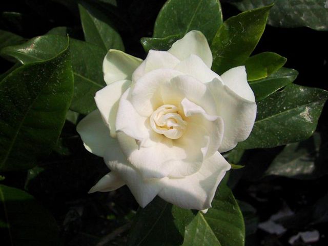 content_img.2910.img.jpg