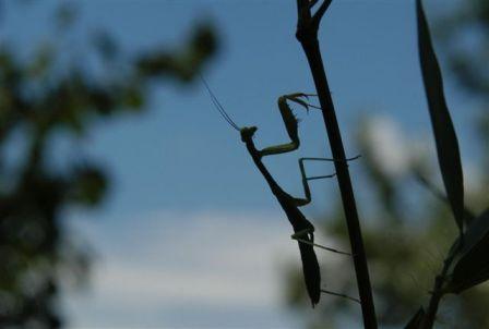content_img.2933.img.jpg