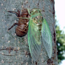 content_img.2934.img.jpg
