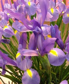 content_img.2968.img.jpg