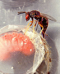 content_img.2995.img.jpg