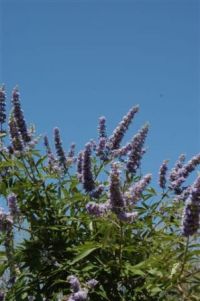 content_img.3022.img.jpg