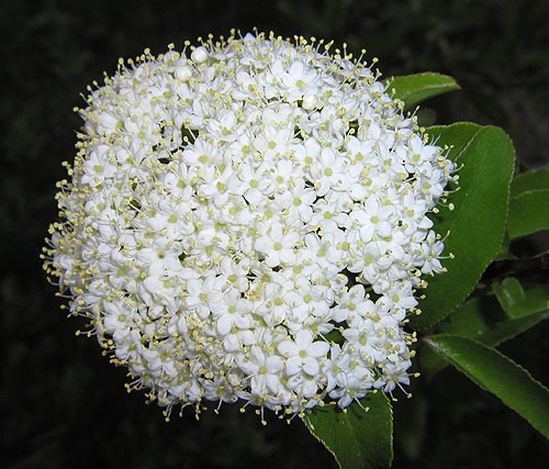 content_img.3087.img.jpg