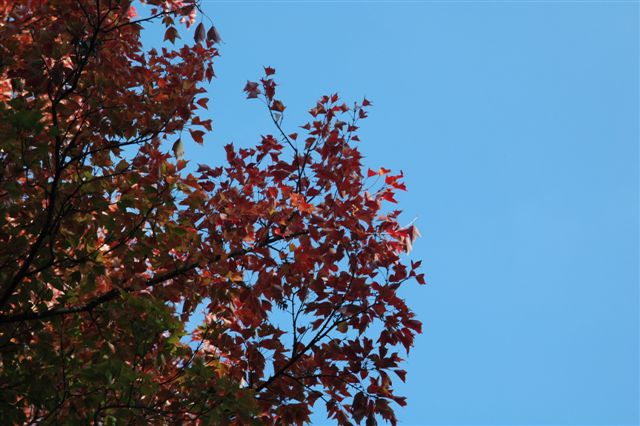 content_img.3104.img.jpg