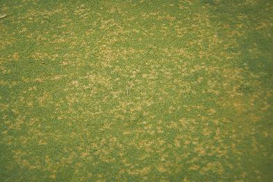 content_img.3110.img.jpg