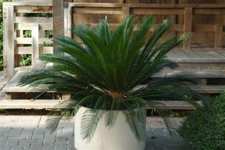 content_img.3168.img.jpg
